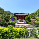 금오산올레길 이미지