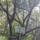 승학상회 이미지