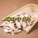 ◆보약으로만 먹던 한약재, 음식으로 드세요 이미지