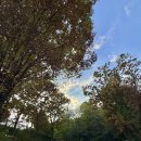 호현마을_상 이미지