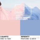 블링블링헤어샵 이미지