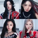 엔터베이비 이미지