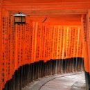 일본 오사카 근교 여행 교토 자유여행 코스 가볼만한곳 4곳 이미지
