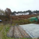 다락골농장 이미지