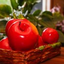 행운을 주는 산도깨비 이미지