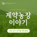 김해수 농장 네이버블로그
