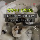 랑랑이네 만복떡집 송편 후기 국산 서리태 콩송편 설 명절 간식 추천