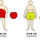 체중 조절과 에너지 대사 (비만) 이미지