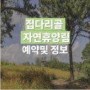 집다리골자연휴양림 완벽정리