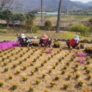 향기가득길 이미지