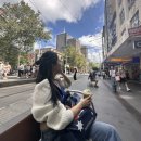 웨어하우스 짐 | 12월 호주여행 5일차. 패디스마켓 기념품, 케미스트 웨어 하우스 영양제 구매후기