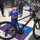 칼라스 친구들 이미지