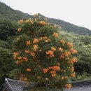 지리산 계곡 노아펜션 이미지