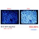 에스테틱 신화 이미지