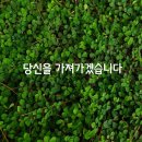 이른아침 이미지