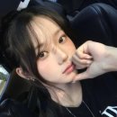 파마 이미지