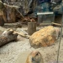 원더파크 이미지