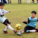 중도일보 이미지