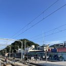 정동진놀자 이미지