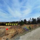 세성로 네이버블로그