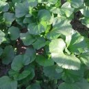 바람햇살농장 이미지