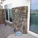 코지갯 스테이 이미지