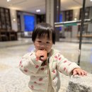 기장웰니스짐 | 소노캄 경주 16개월 아기랑 풀앤스파, 조식뷔페까지 2박3일 여행 후기