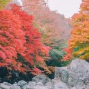 (주)천아