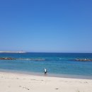 포항부추빵 이미지