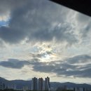 산골텃밭소식. 식구들도 나도 즐길 권리는 있겠징. 이미지