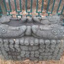 사선대관광지 이미지