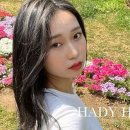 하디헤어 이미지