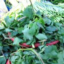 부산새벽시장 이미지