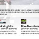 브이아이자전거