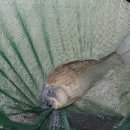 동화낚시터 이미지