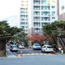 중동공원 이미지