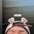 힐링짐(523) | [5월] 여백이 있어야 다음 문장을 적을 수 있..웅앵웅