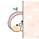 홍대 네일·스킨 더뉴올