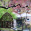 싸이버넷트 네이버블로그