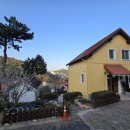 겔베하우스 이미지