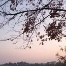 서호공원 이미지