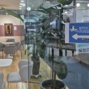 전주 하늘 이미지