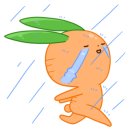 고양이카페 랙돌 이미지