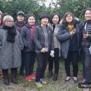 현선농장 이미지