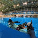 완산-166 | [전주] 수영초보여도 가능! 물중독에서 프리다이빙 기초 강습 후기