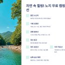 정화이동통신 | 자연 속 힐링! 노지 무료 캠핑장 7선｜강·계곡·숲 뷰