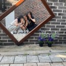 한아농장 | [7월 수원 여행] 행궁동의 풀네임은 행복한궁댕이동입니다.