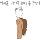 몽뜨레 이미지