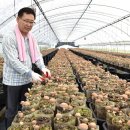 경제농장 이미지