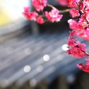 양산IC(통도사) 이미지